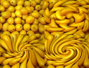 LEMON COLLAGE